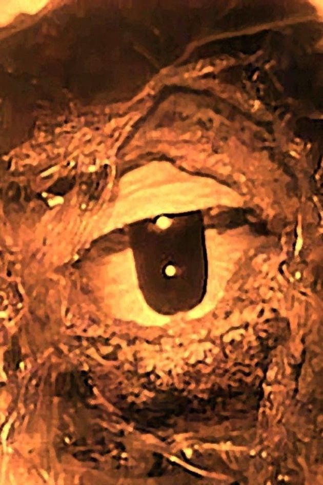 The Atomic Submarine