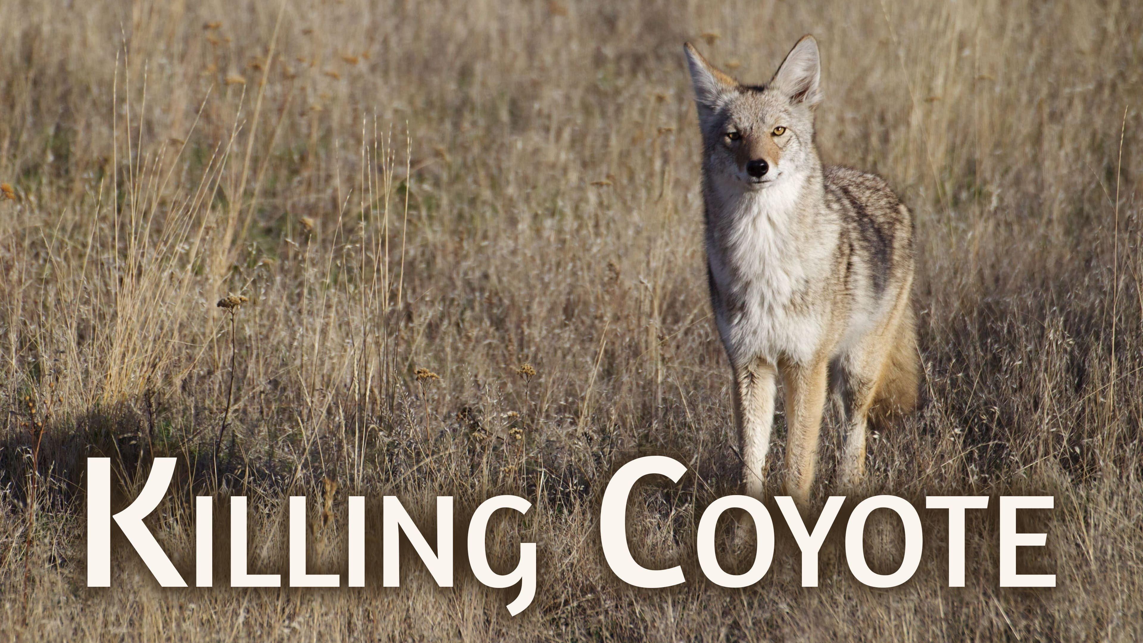 Watch Killing Coyote Streaming Online on Philo (Free Trial)