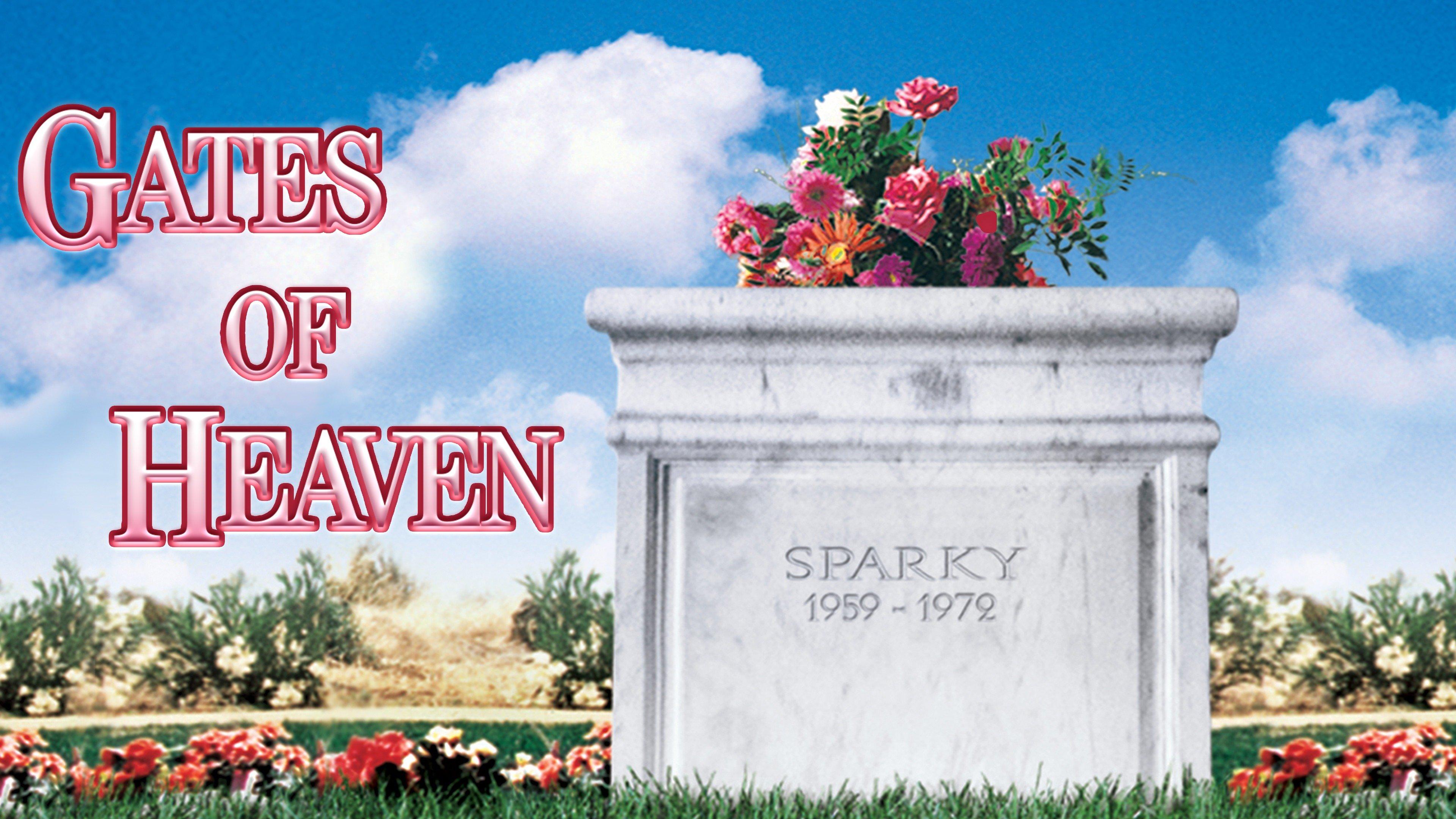 Watch Gates of Heaven Streaming Online on Philo (Free Trial)