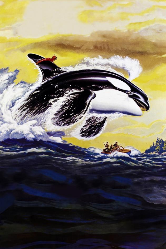 Namu, the Killer Whale