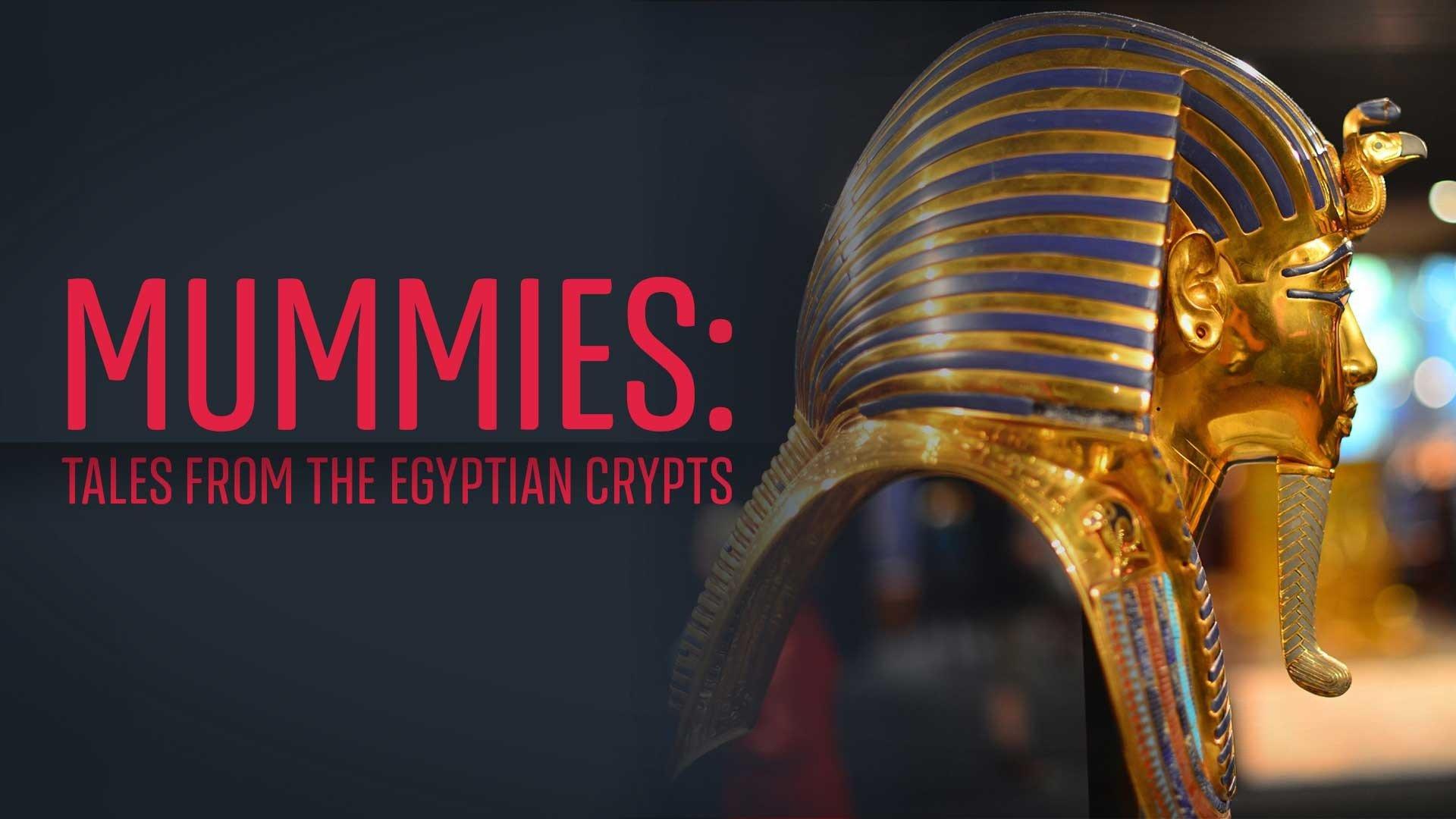 Watch Mummies Tales From the Egyptian Crypts Streaming Online on Philo