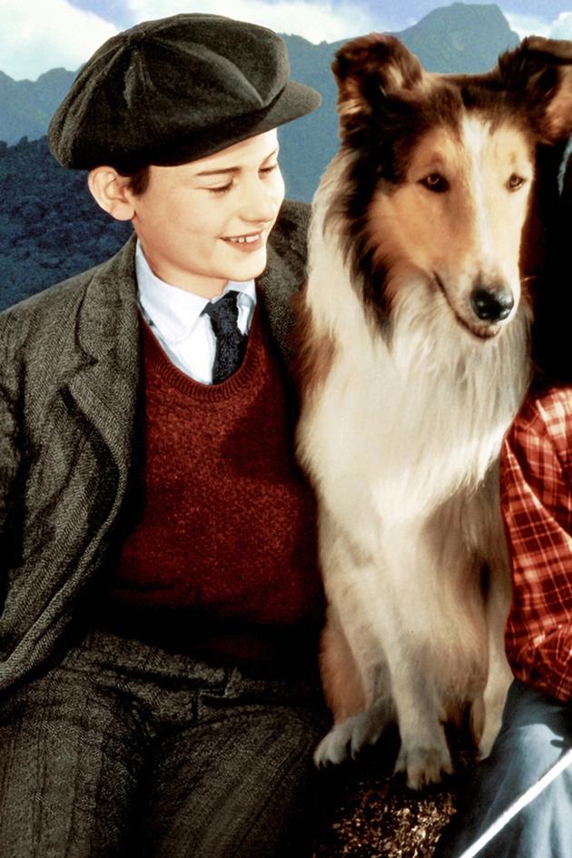 Lassie Come Home