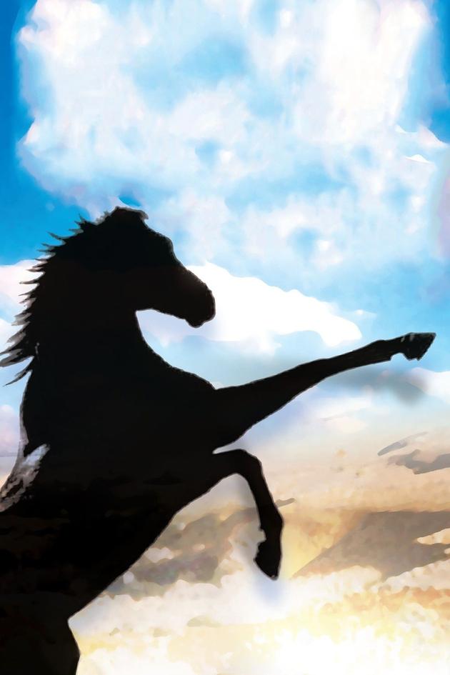 The Black Stallion
