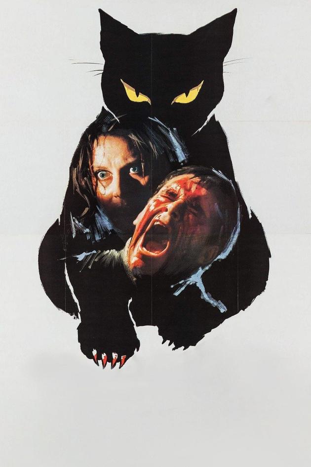 The Black Cat