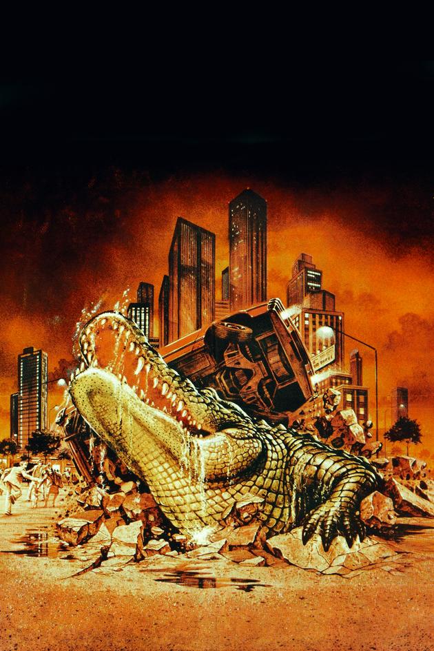 Alligator