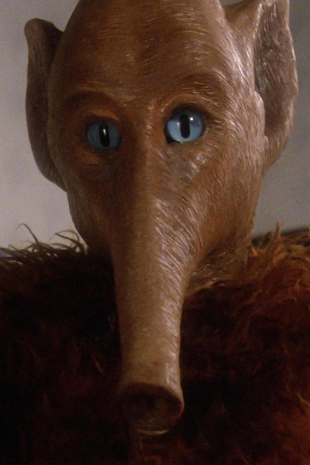Extra Terrestrial Visitors