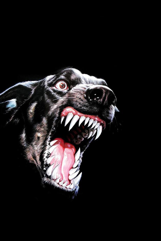 Dogs