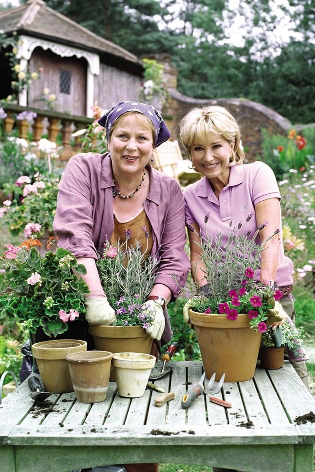 Rosemary and Thyme