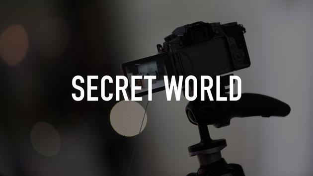 Secret World