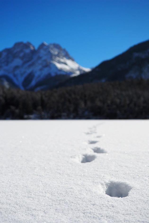 Warren Miller's White Winter Heat.