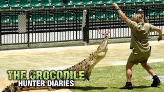 The Crocodile Hunter Diaries