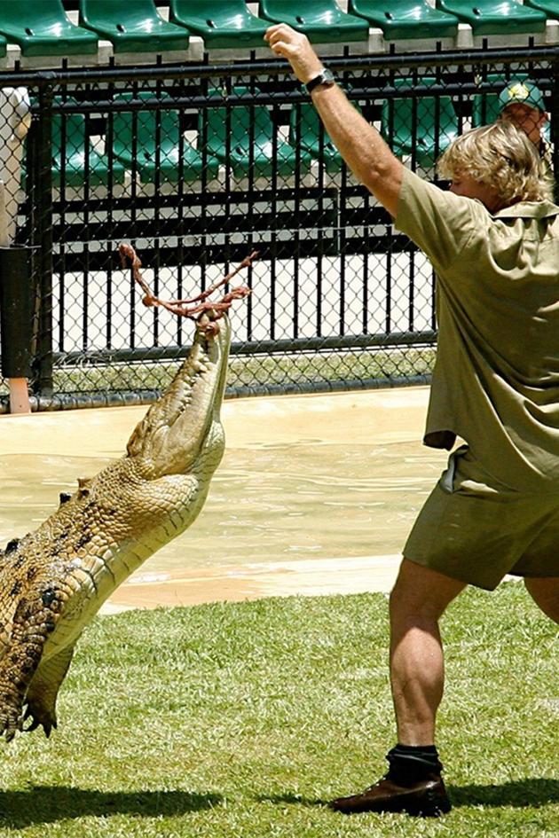 The Crocodile Hunter Diaries
