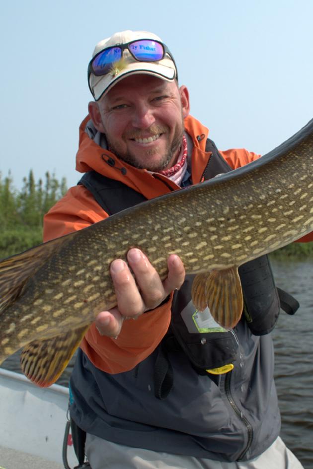 The New Fly Fisher