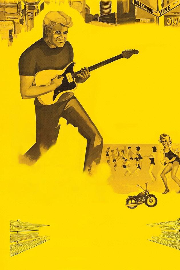 Wild Guitar