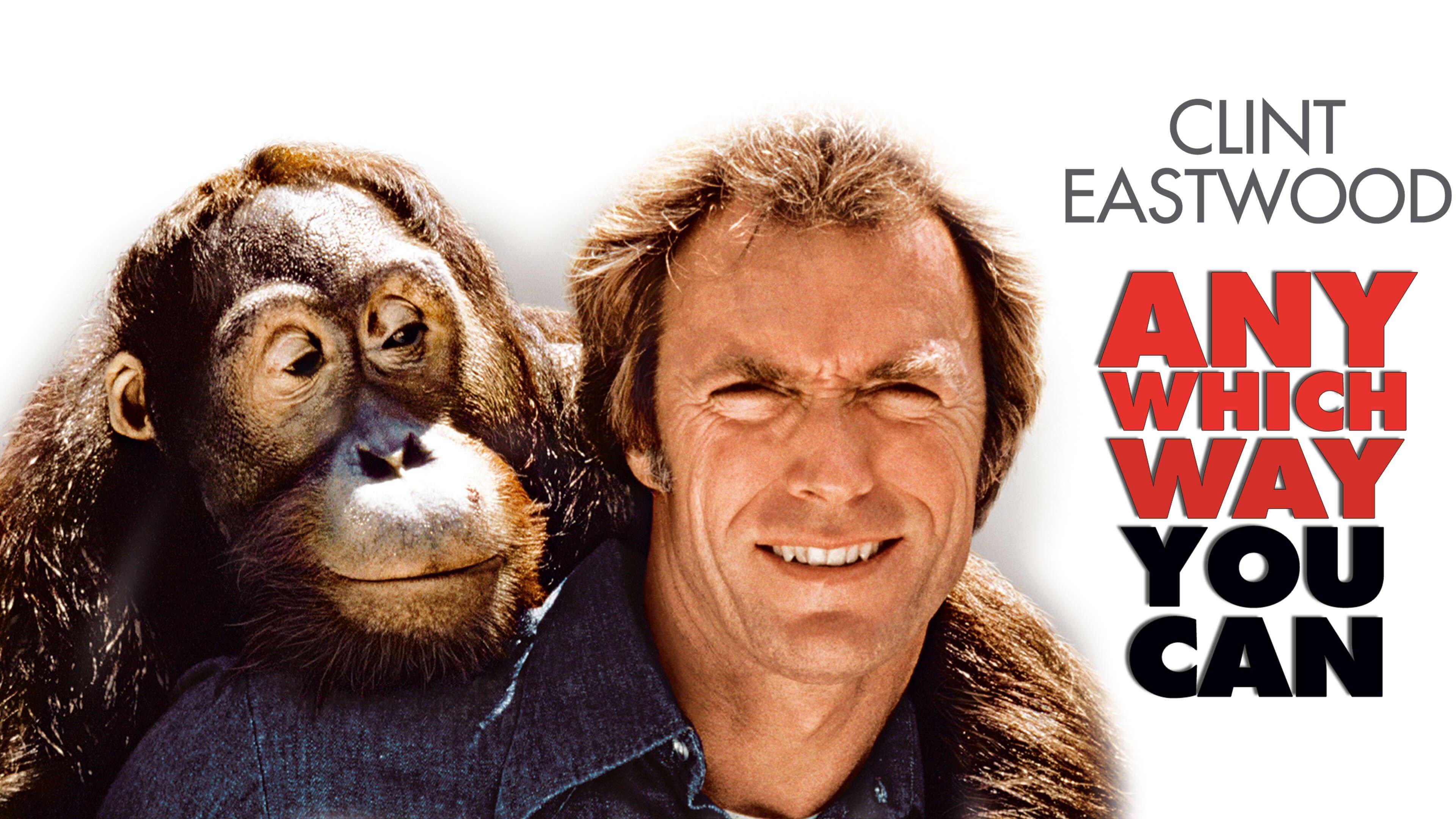 Watch Any Which Way You Can Full Movie Streaming Philo