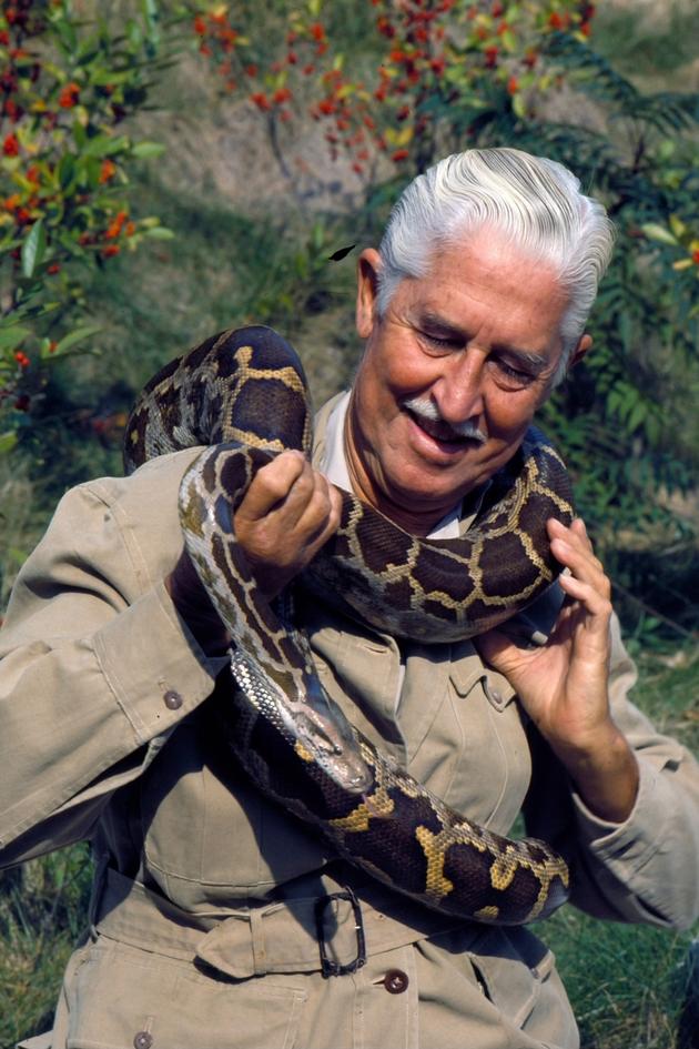 Mutual of Omaha's Wild Kingdom