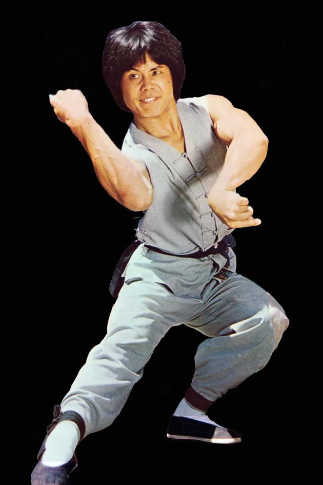 Avenging Boxer