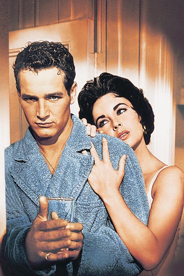 Cat on a Hot Tin Roof