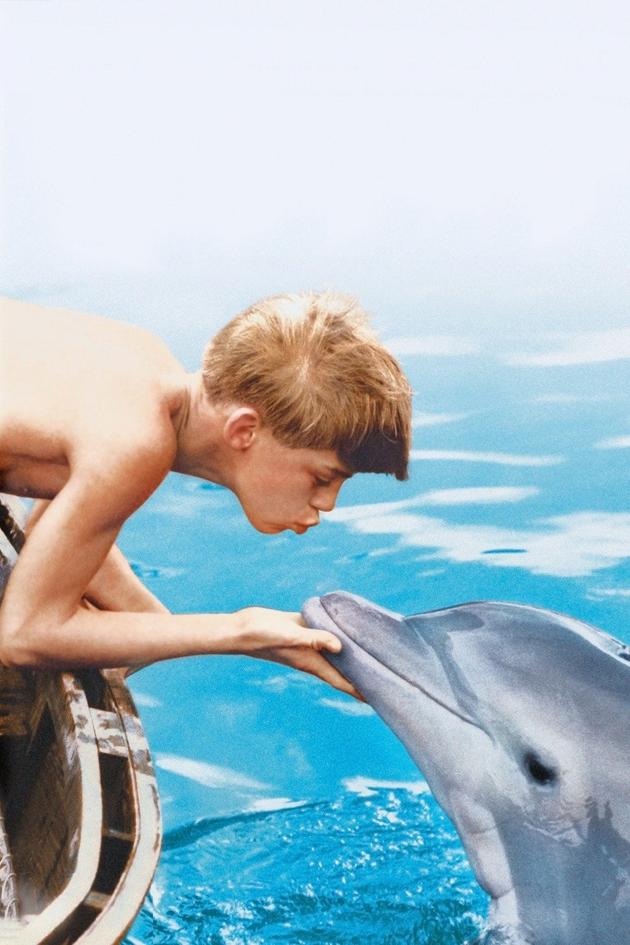 Flipper
