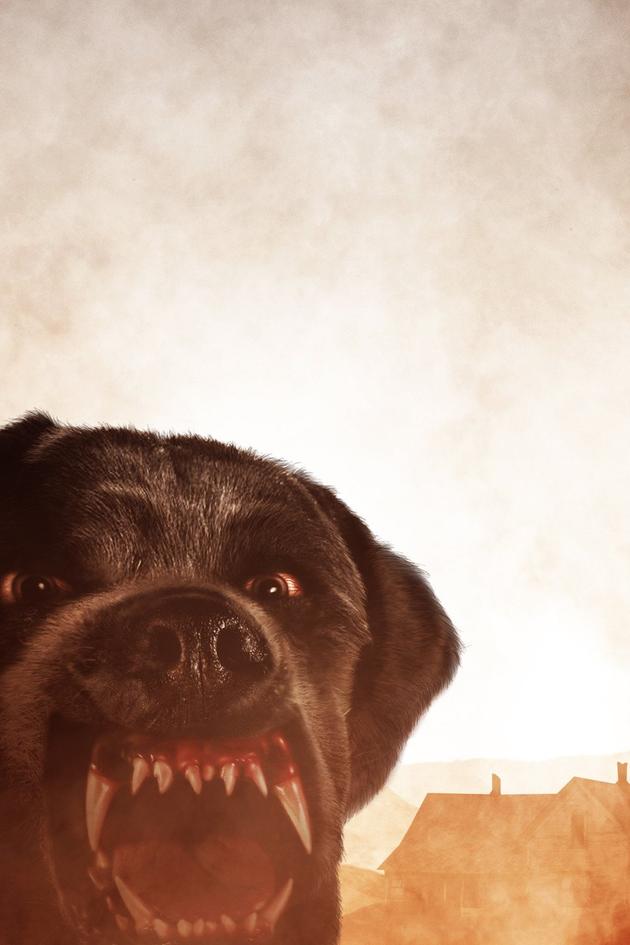 Cujo