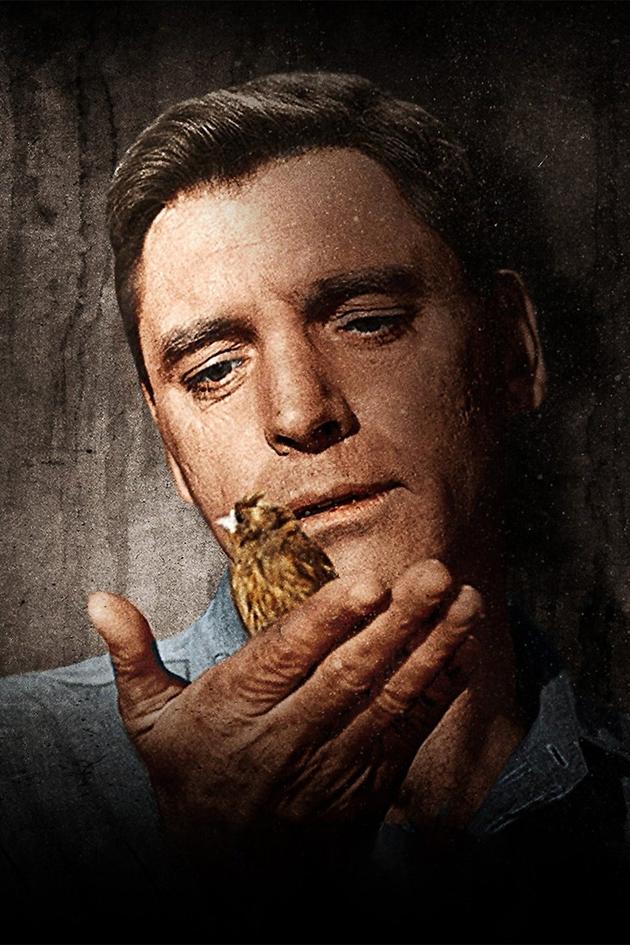 Birdman of Alcatraz