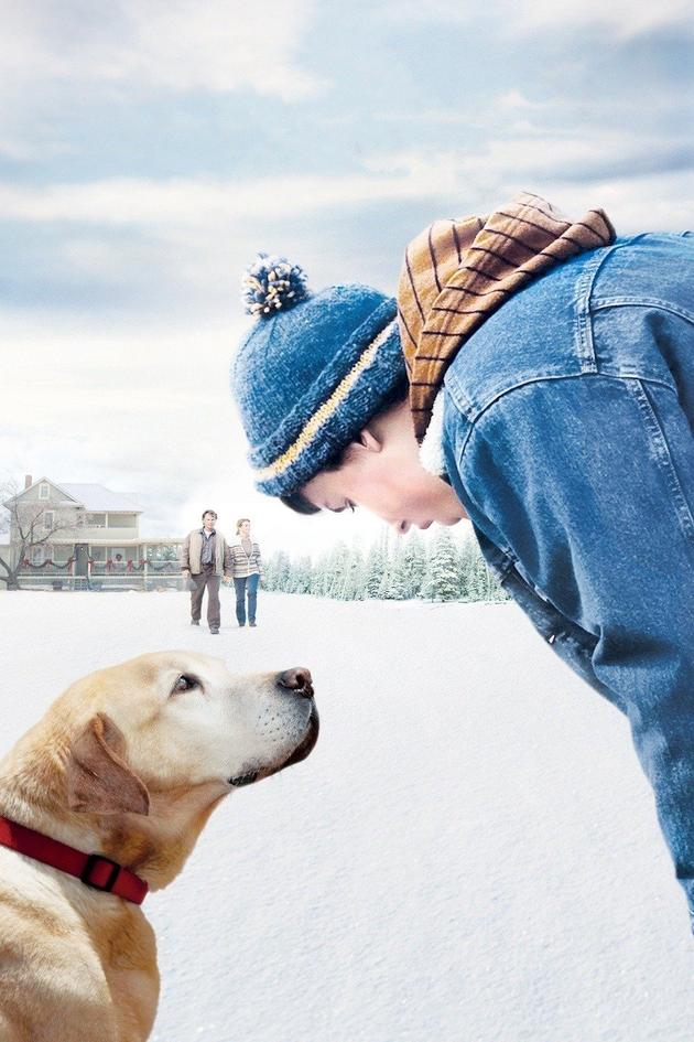 A Dog Named Christmas