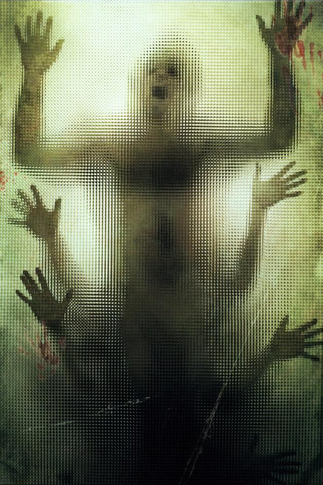 The Human Centipede