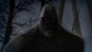 Sierra Sasquatch