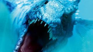 Dinoshark