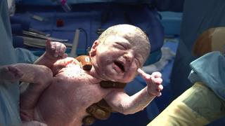 Baby Rogers