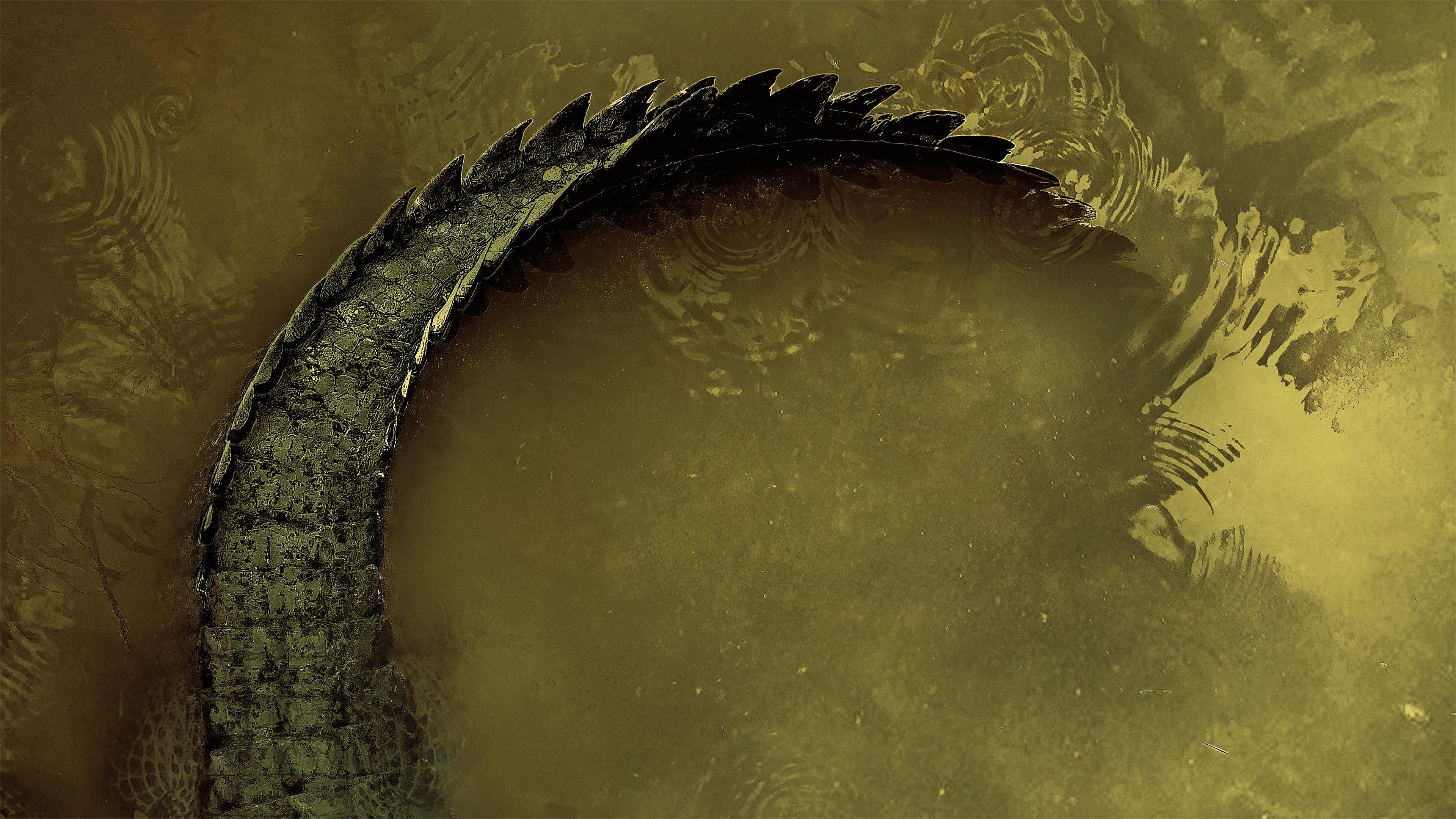 Swamp People Come Hell Or Low Water swamp-people-come-hell-or-low-water