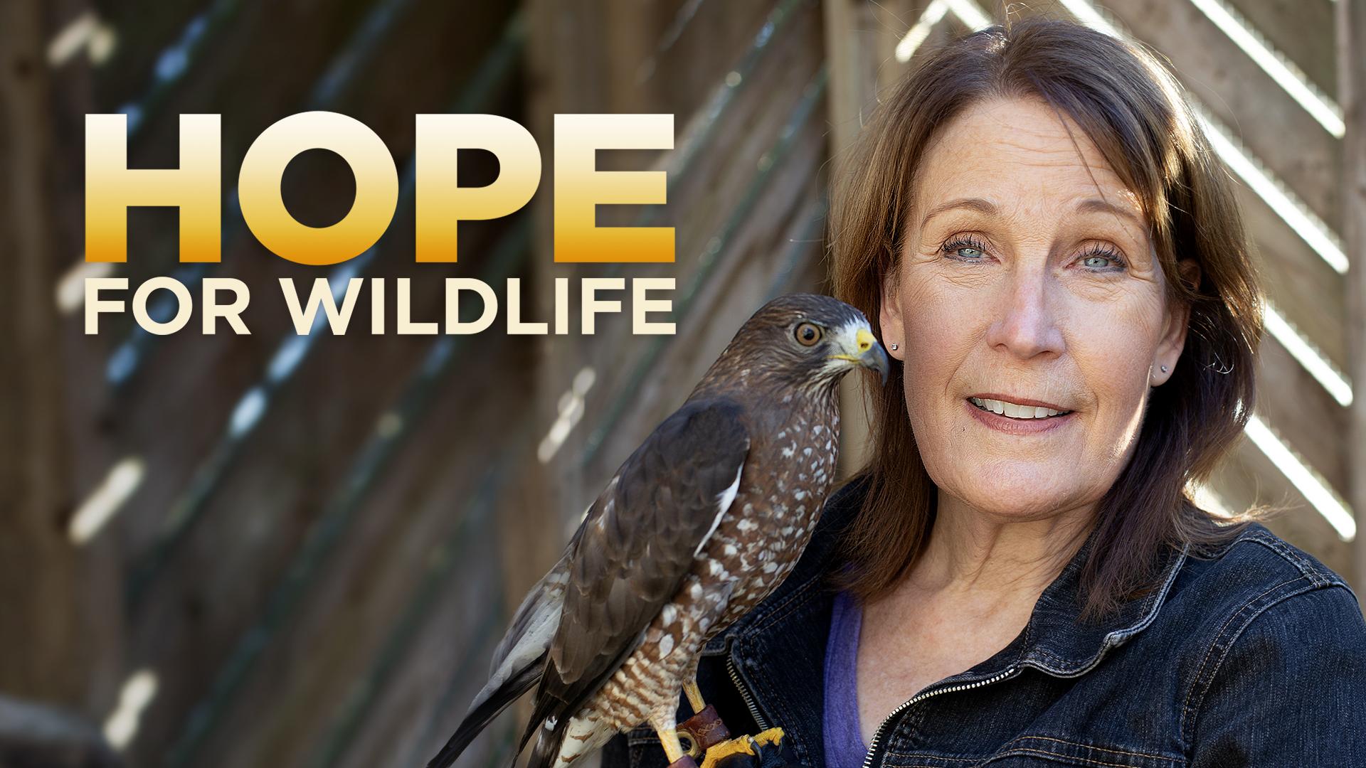 Watch Hope for Wildlife Streaming Online on Philo (Free Trial)