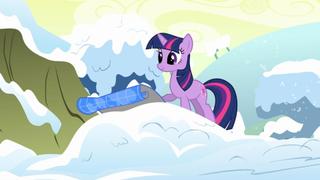 Winter Wrap Up
