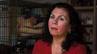 Ventriloquist; Cat Lady