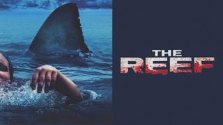 The Reef