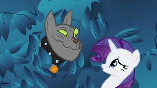 A Dog and Pony Show