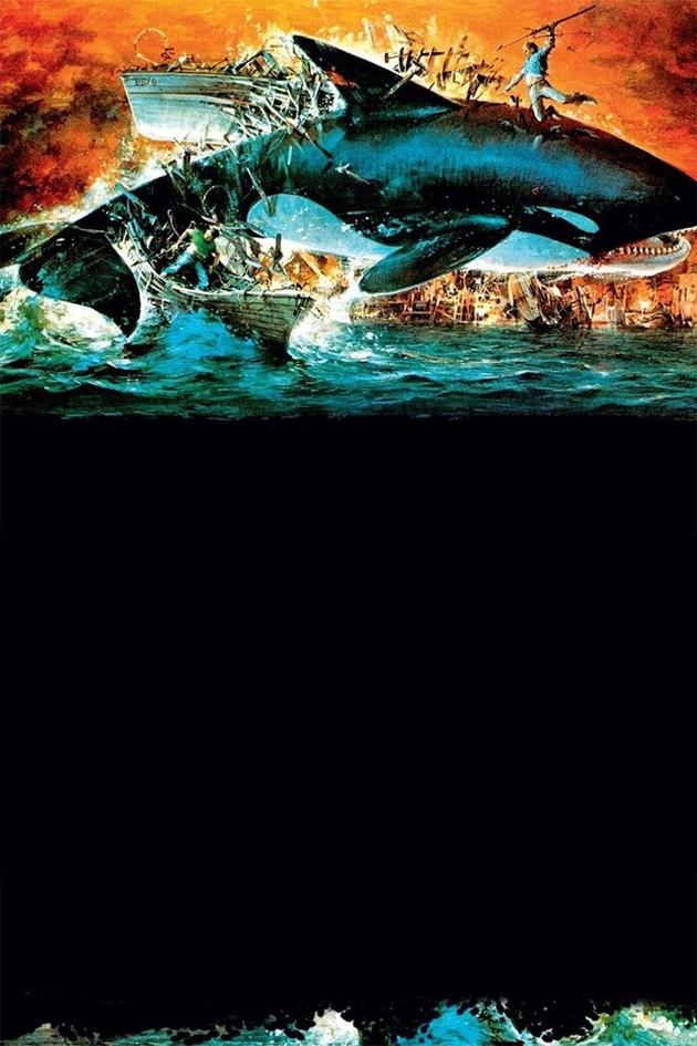 Orca, The Killer Whale