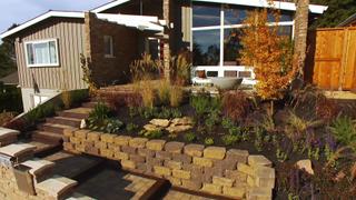 Juniper Jungle to Modern Masterpiece