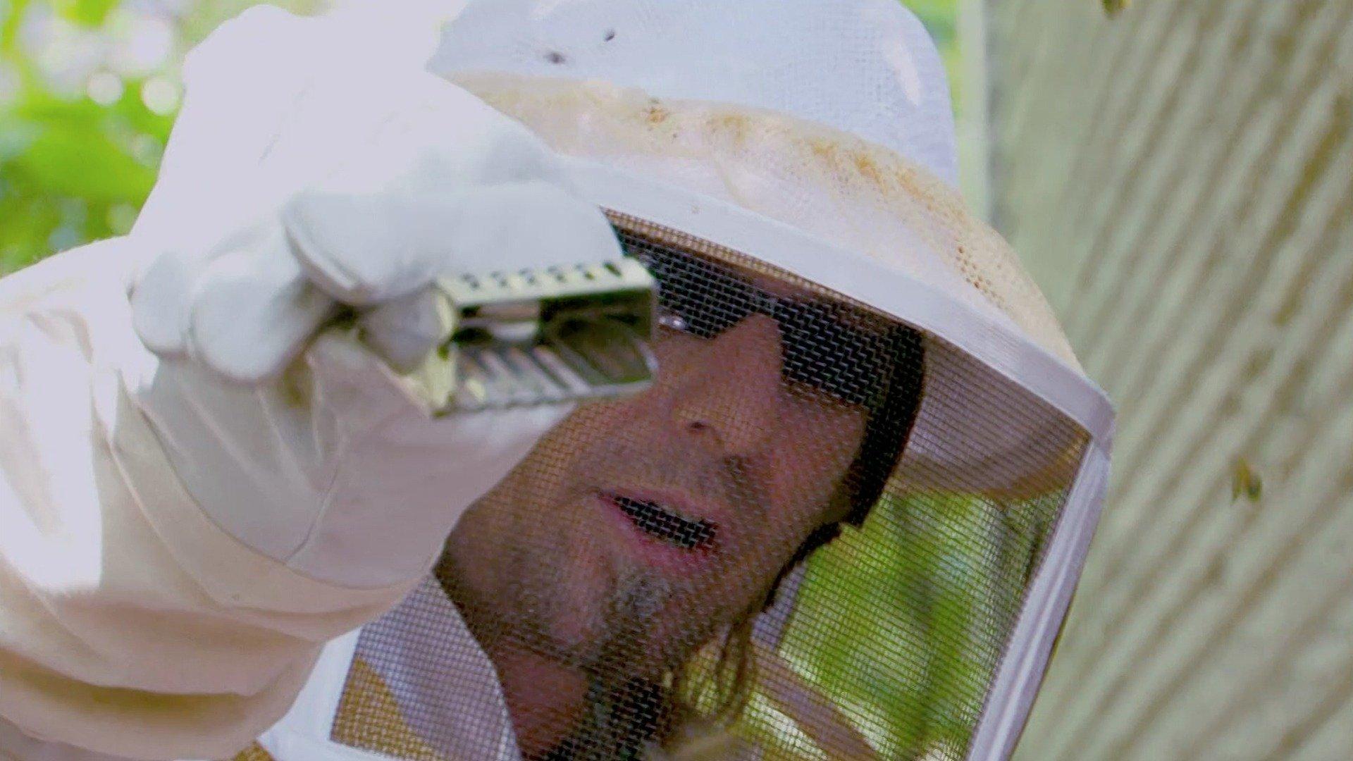Billy the Exterminator Backyard Swarm
