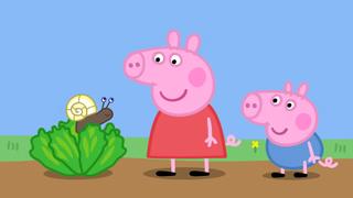 Tiny Creatures; Daddy Pig's Office; Pirate Island; George Catches a Cold; The Balloon Ride