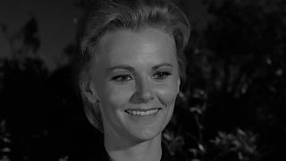 The Miss Mary Lee McIntosh Story