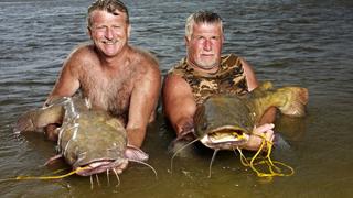 Catfish Are Wicked Cute