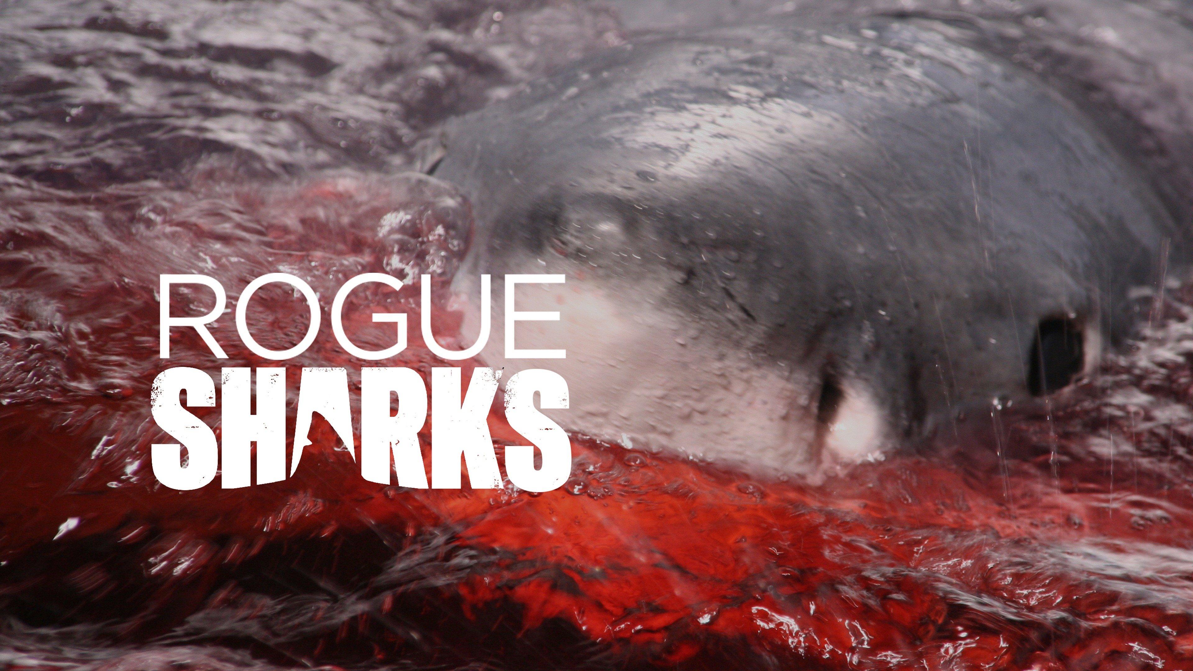 Watch Rogue Sharks Streaming Online on Philo (Free Trial)