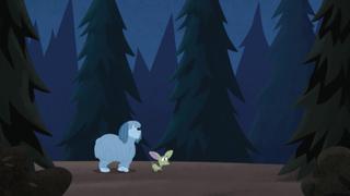 Homeward Pound Homeward Pound