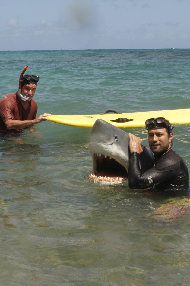 Summer of the Shark