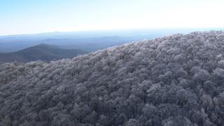 Georgia