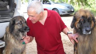 Briard, Canaan Dog, Dogo Argentino, Japanese Chin, Wonder Dog, Clumber Span