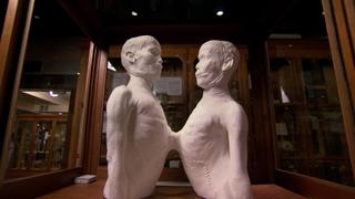 Siamese Twins; Assassin Umbrella; Capone's Haunted Cell