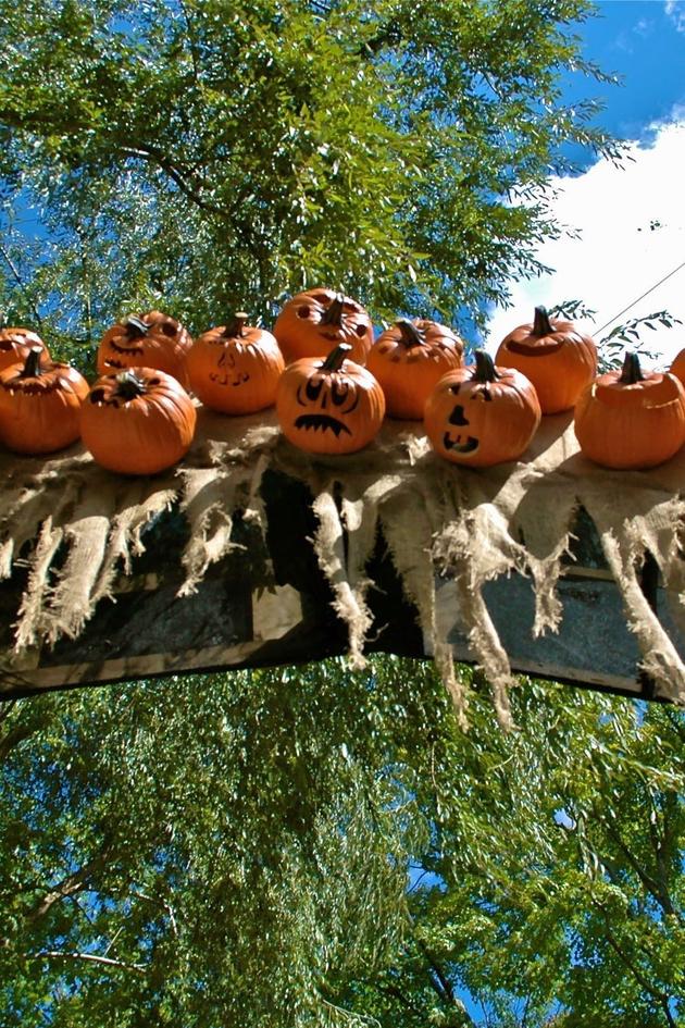 Halloween Crazy
