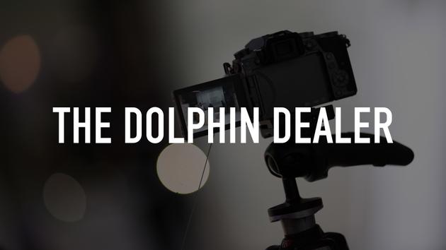 The Dolphin Dealer